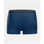 Męskie bokserki Ortovox 150 Essential Trunks M