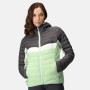 Kurtka damska Regatta Womens Harrock II