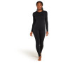 Damskie kalesony Icebreaker W Mer Core Heavyweight Leggings