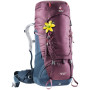Plecak damski Deuter Aircontact 50+10 SL (2020) bordowy BlackberryNavy