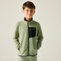 Bluza dziecięca Regatta Junior Frankie F/Z Light Sage