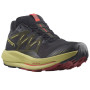 Buty do biegania dla mężczyzn Salomon Pulsar Trail Gtx