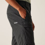 Męskie szorty Regatta Highton Shorts Long II