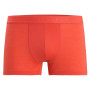 Męskie bokserki Icebreaker M Anatomica Cool-Lite Trunks ceglasty Vibrant Earth