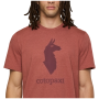 Koszulka męska Cotopaxi M'S Cotopaxi Llama T-Shirt