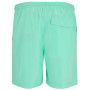 Spodenki męskie Regatta Mackleyna Swim Short