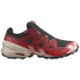 Buty do biegania dla mężczyzn Salomon Speedcross 6 Gore-Tex