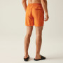 Męskie szorty Regatta Mackleyna Swim Short