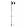 Kijek Nordic walking Blizzard Alu Performance nordic walking poles czarny silver/black