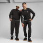 Męskie spodnie dresowe Puma ESS No. 1 Logo Sweatpants TR cl