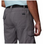 Spodenki męskie Columbia Silver Ridge™ Utility Cargo Short
