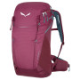 Plecak Salewa Alp Trainer 20 Ws bordowy TawnyPort