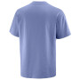 Koszulka męska Salomon Wild Rays Label SS Tee
