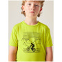 T-shirt dziecięcy Dare 2b Amuse III Tee Frgle Sprout