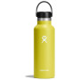 Butelka termiczna Hydro Flask Standard Mouth 18 oz żółty/zielony cactus