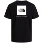 Koszulka męska The North Face M Evolution Box Nse Regular Short Sleeve