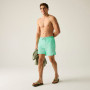 Spodenki męskie Regatta Mackleyna Swim Short