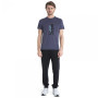 Męska koszulka Icebreaker Men Merino Core SS Tee Waschbar Wandering