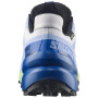 Buty do biegania dla mężczyzn Salomon Speedcross 6 GTX Icon