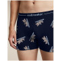 Męskie bokserki Icebreaker Men M 150 Anatomica Boxers BearTourAOP