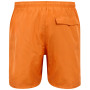 Męskie szorty Regatta Mackleyna Swim Short