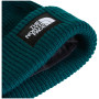 Czapka The North Face Salty Lined Beanie