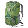 Plecak dziecięcy Jack Wolfskin Ramson Top 20 Pack zielony DeepForestPaw