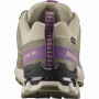 Damskie buty turystyczne Salomon Xa Pro 3D V9 Gore-Tex
