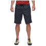 Męskie szorty Black Diamond M Notion Shorts 2023
