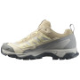Damskie buty trekkingowe Salomon X Ultra 5