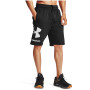 Męskie szorty Under Armour Rival FLC Big Logo Shorts