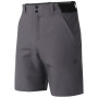 Spodenki męskie Dare 2b Torrek II Short