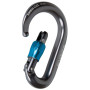Karabinek Camp Nimbus Lock