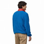 Męska bluza Patagonia M's Microdini 1/2 Zip P/O