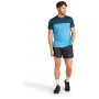 Męska koszulka Icebreaker Men Merino 125 Cool-Lite™ Sphere III SS Tee Colour Block