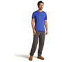Męska koszulka Icebreaker Men Merino Core SS Tee