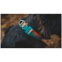 Obroża dla psa Ruffwear Front Range™ Collar