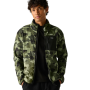 Bluza męska Regatta Frankie Full Zip Fleece