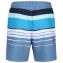 Męskie szorty Regatta Loras Swim Short m