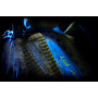 Plecak Salewa MTN Trainer 25