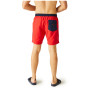Męski strój kąpielowy Regatta Bentham swim short