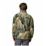 Bluza męska Columbia Helvetia™ II Printed Half Snap Fleece