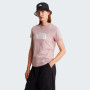 Koszulka damska The North Face W Evolution Half Dome Slim Short Sleeve