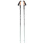 Kije trekkingowe Black Diamond Pursuit FLZ Trekking Poles