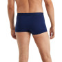 Męskie bokserki Icebreaker M Anatomica Cool-Lite Trunks