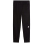 Męskie spodnie dresowe The North Face M Mountain Athletics Fleece Pant 2.0