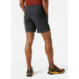Męskie szorty Helly Hansen Friluft Shorts