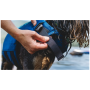 Kapok dla psa Ruffwear Float Coat™ Life Jacket