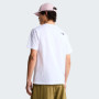 Koszulka męska The North Face Evolution Half Dome Regular Short Slee