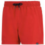 Męski strój kąpielowy Regatta Mawson Swim Shorts III
